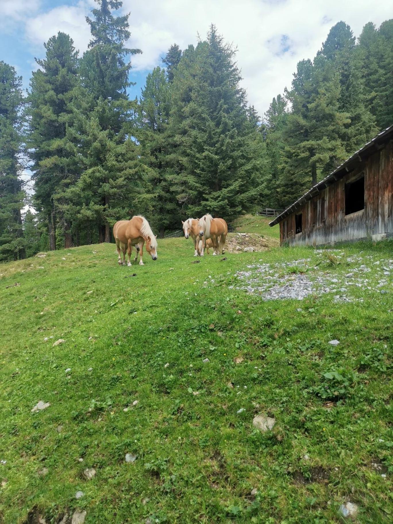 Pitztal Living Aparthotel Jerzens Buitenkant foto